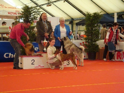 Doggenhagen - CHATEAUROUX